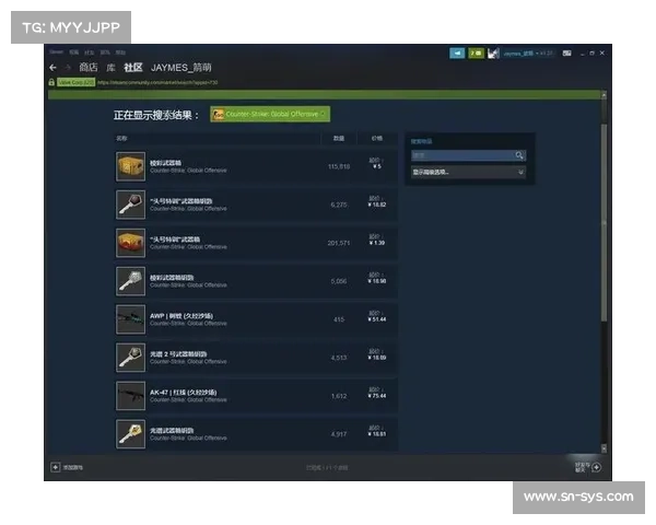 俄罗斯CSGO皮肤交易平台选择指南如何挑选最适合你的平台 俄罗斯CSGO皮肤交易平台选择指南如何挑选最适合你的平台