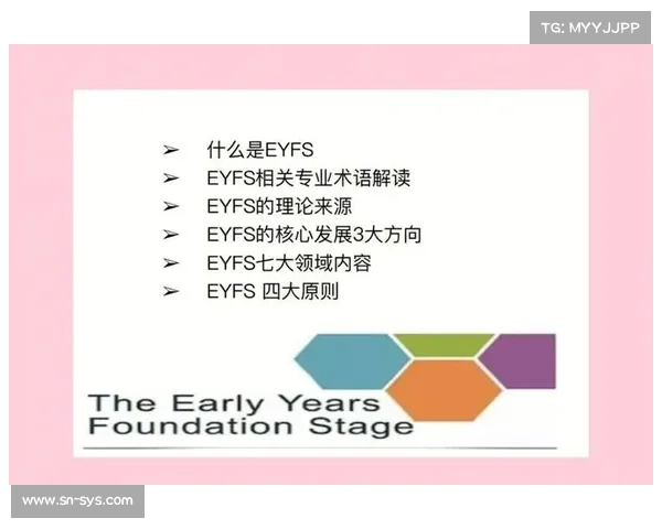 东超视角下的意思解读方法与应用探索指南